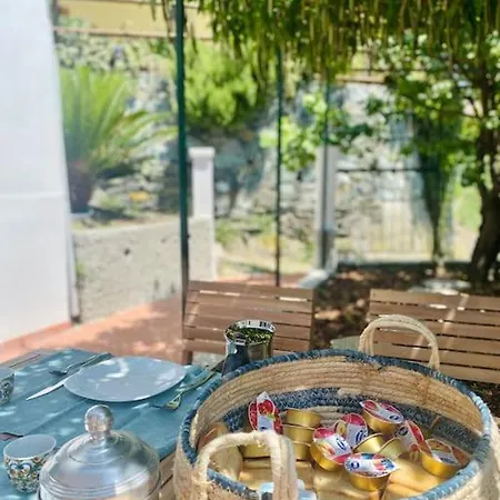 Semesterbostad L'albicocco -