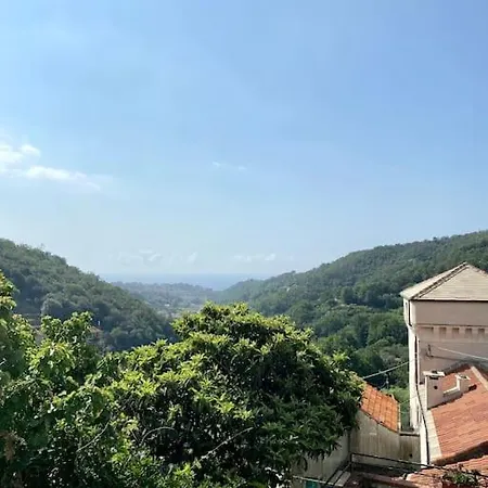 L'albicocco - * Celle Ligure