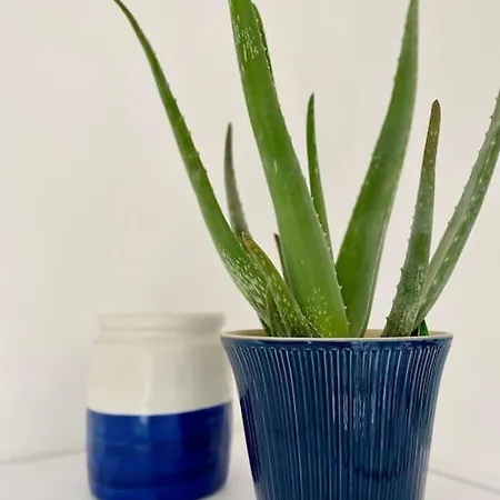 L'albicocco - Semesterbostad *