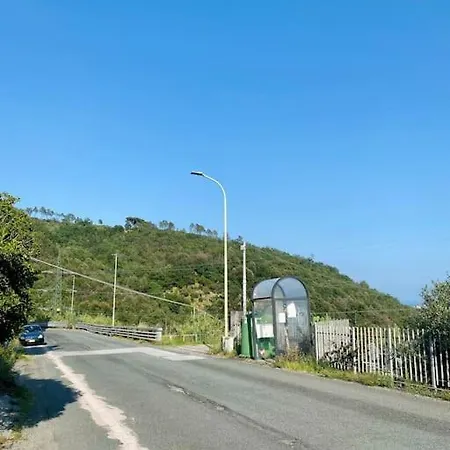 Semesterbostad L'albicocco - *