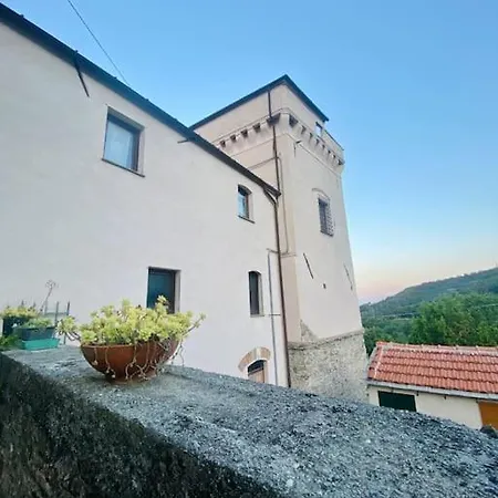 L'albicocco - *