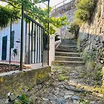 L'albicocco - *