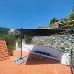 L'albicocco - *