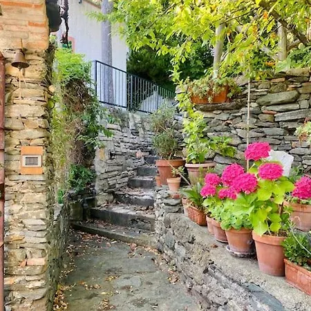 Ferienhaus L'albicocco -