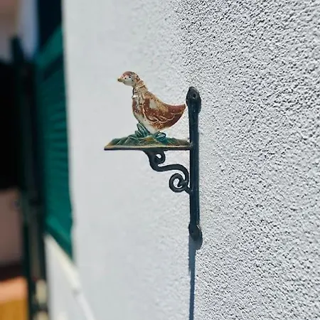 L'albicocco - Ferienhaus *