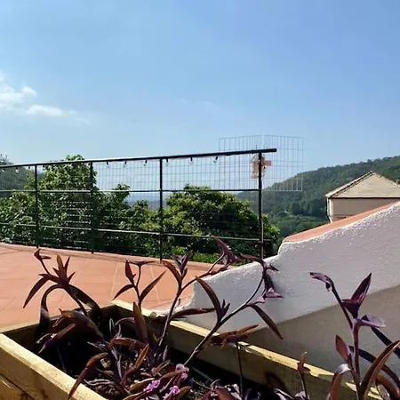 L'albicocco - Ferienhaus Celle Ligure