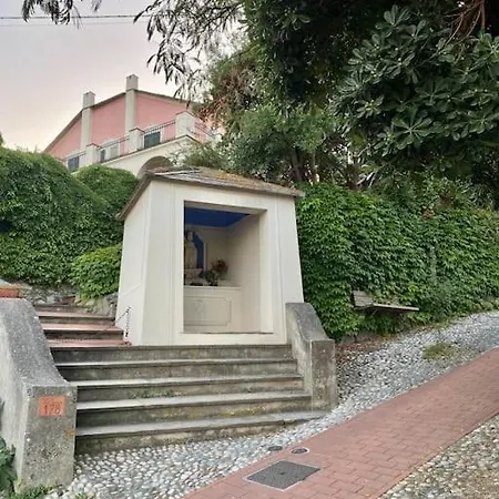 L'albicocco - *