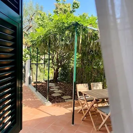 Dom wakacyjny L'albicocco -