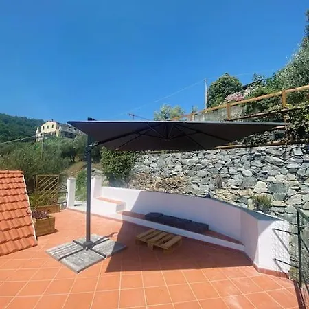 L'albicocco - *