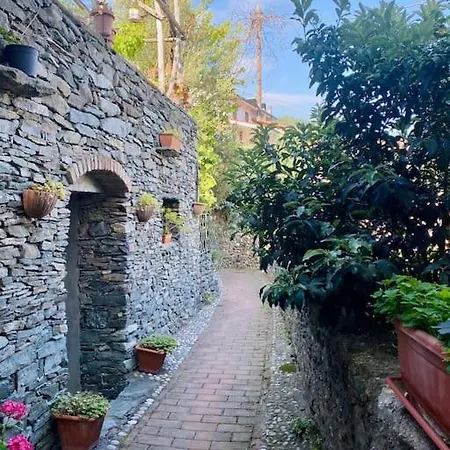 Ferienhaus L'albicocco - Celle Ligure