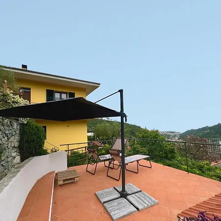 L'albicocco -