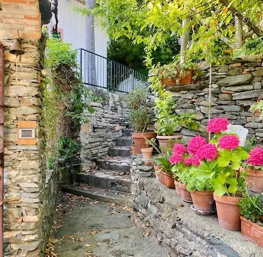 Сasa de vacaciones L'albicocco -