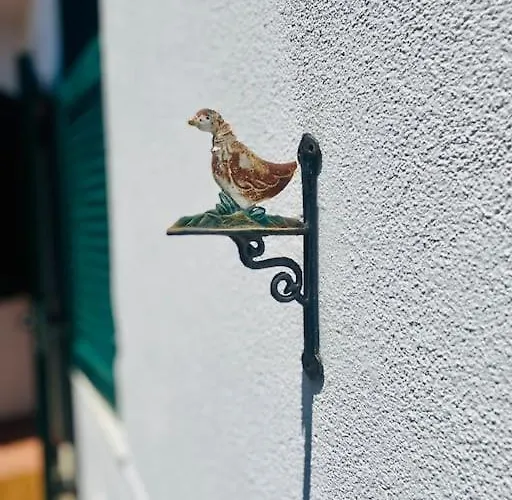 L'albicocco - Сasa de vacaciones *