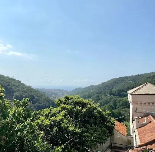 L'albicocco - * Celle Ligure