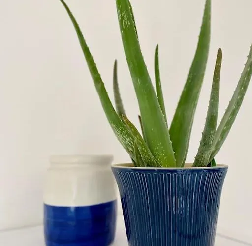 L'albicocco - Сasa de vacaciones *